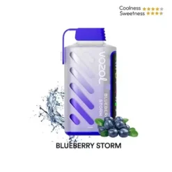 Vozol Gear Power 20000 Blueberry Storm