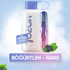 Vozol Star 40000 Blueberry Mint